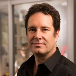 Photo Image of Hod Lipson