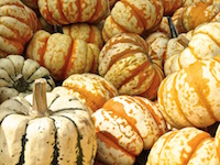 Give Thanks — for Veggies — This Thanksgiving