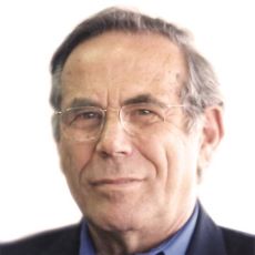 Stef Wertheimer
