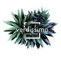 verdissimo logo