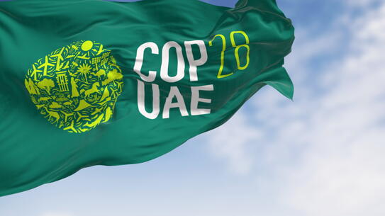 COP28 flag
