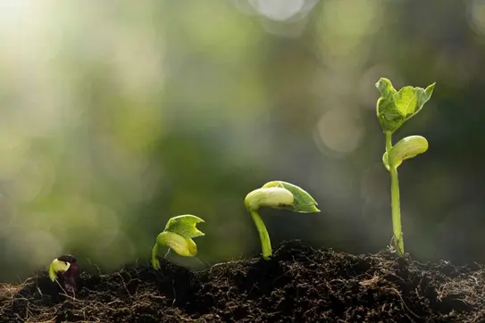12 Essential Steps to Raise Capital