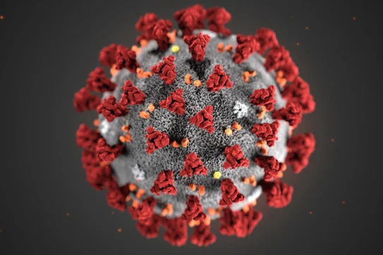 Evolving Ethics and the Covid Pandemic