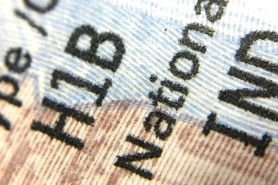 A Singular Population: Indian Immigrants in America