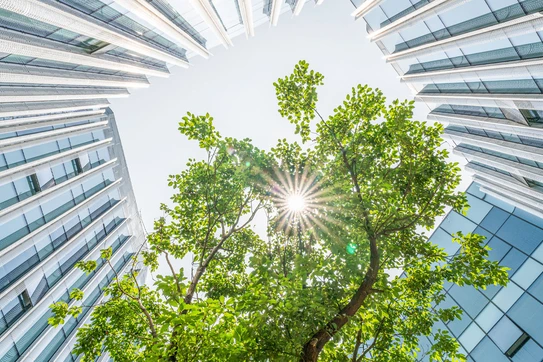 A New Way to Do Good: Invest in Bad Companies