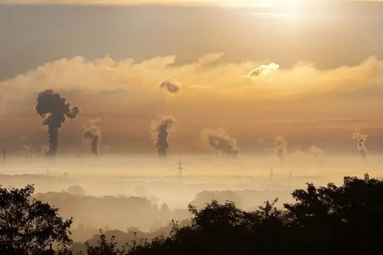We Already Know How to Curb Climate Change