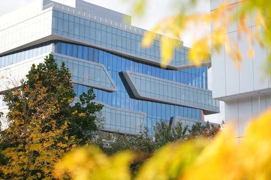 The Triple Bottom Line: Where Social and Environmental Impact Meets Investment
