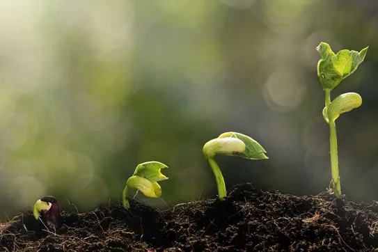 10 Alumni VCs Share their Best Advice for Entrepreneurs
