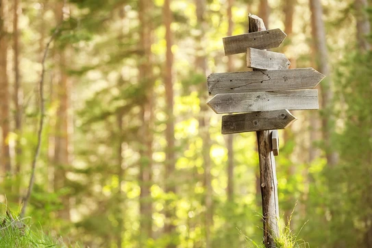 Leverage Your Values for Better Decision Making