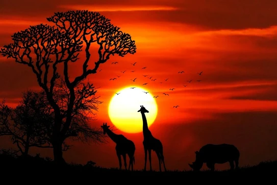 How Vacations Can Fuel Sustainable Economic Activities