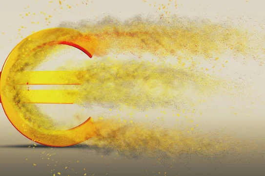 Can the Euro Be Saved?