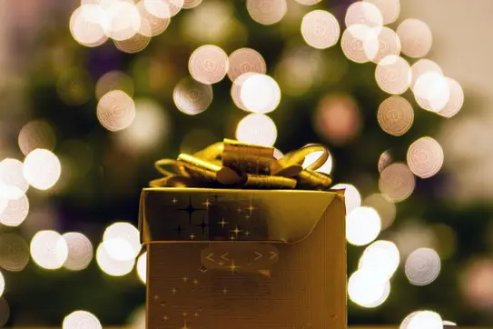 Our 2016 Holiday Gift Guide