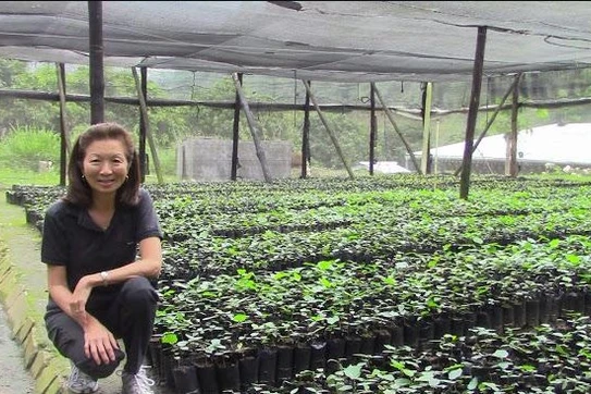 Inside an Alumna’s Hazelnut Venture in the Himalayan Mountains