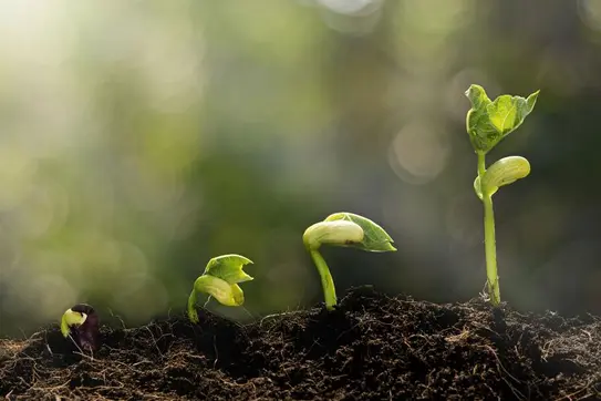 Three Steps Your Company Can Take to Set the Stage for Growth