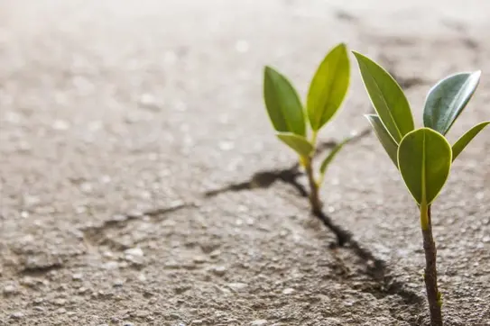 There's More Than One Route to Doing Well by Doing Good