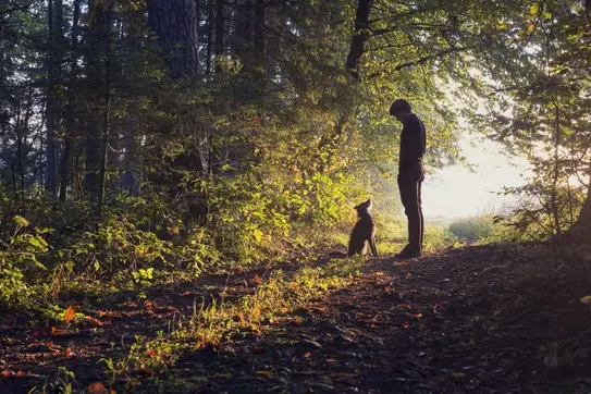 Six Things My Dog Taught Me about Leadership