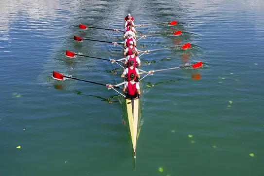 Why Strategy is Everyone’s Job
