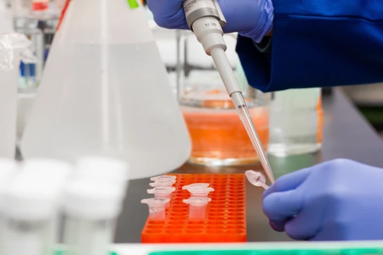 Gloved hands in a lab transfer liquid into a test tube