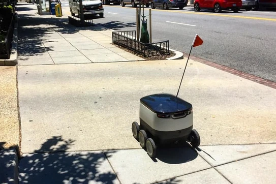 Pandemic and the Smarter World: A Future of Robots?