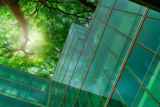 The Future of ESG: Overhauling Our Approach to Saving the World
