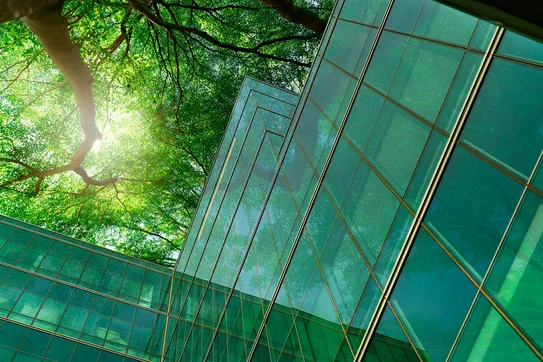 Office building reflecting the greenery of the trees