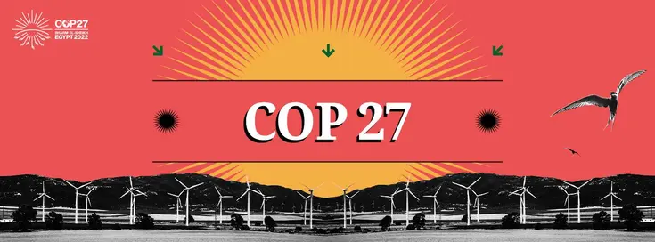 COP 27