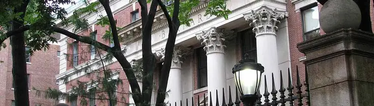 Barnard College canopy through the foliage