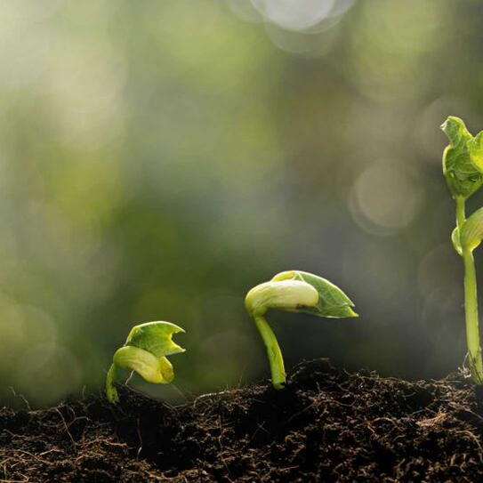 12 Essential Steps to Raise Capital