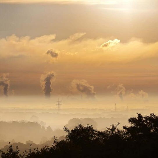 We Already Know How to Curb Climate Change