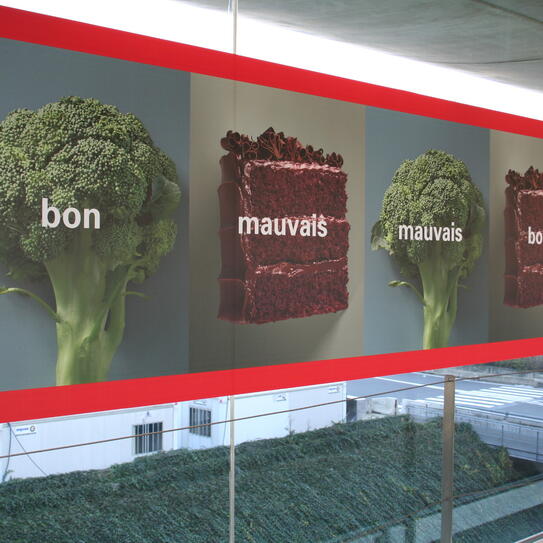 Bon Mauvais graphic image