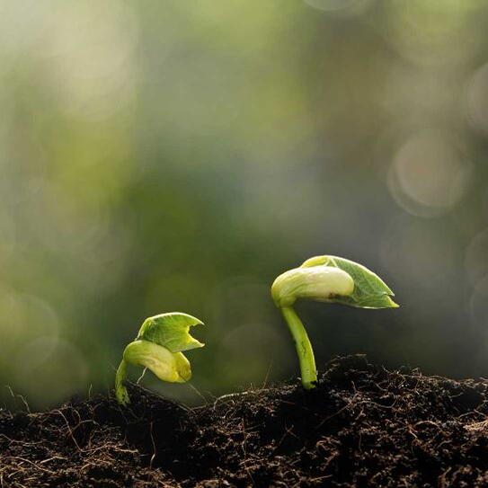 10 Alumni VCs Share their Best Advice for Entrepreneurs