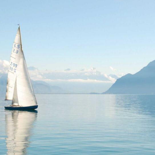 Branding Sailo