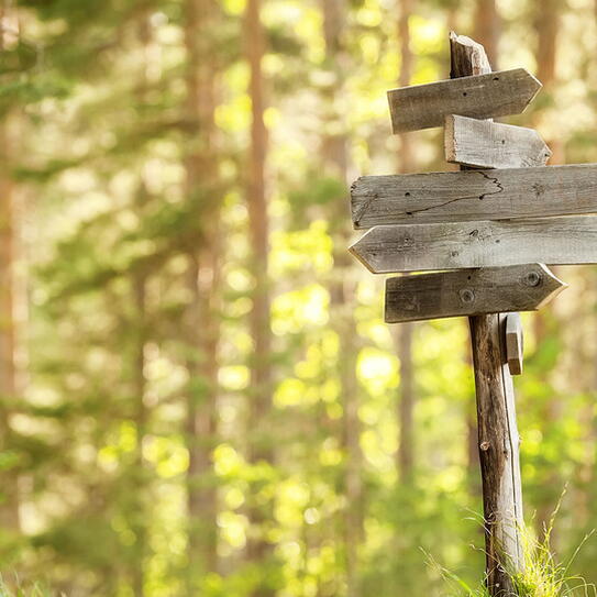 Wood post with signs in the middle of a forest