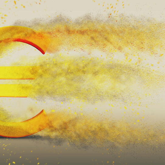 Can the Euro Be Saved?