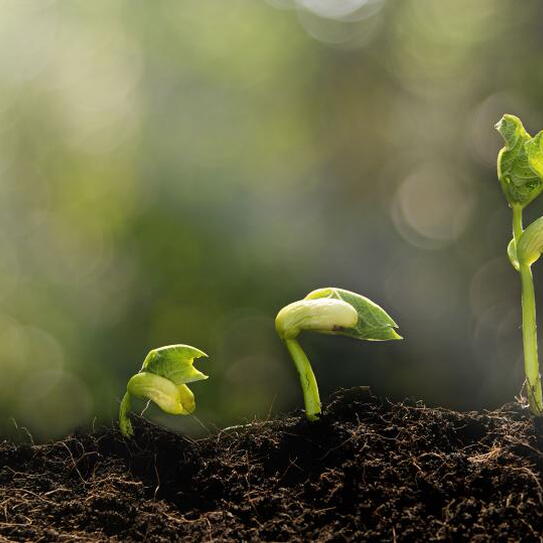 Three Steps Your Company Can Take to Set the Stage for Growth