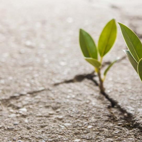 There's More Than One Route to Doing Well by Doing Good