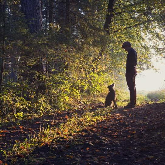 Six Things My Dog Taught Me about Leadership